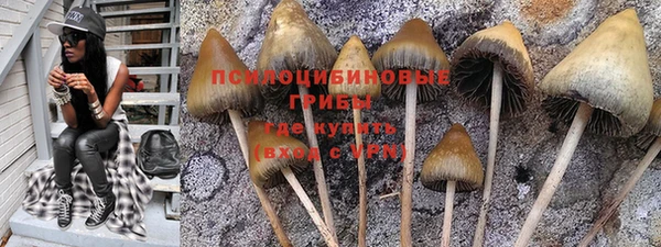 хмурый Армянск